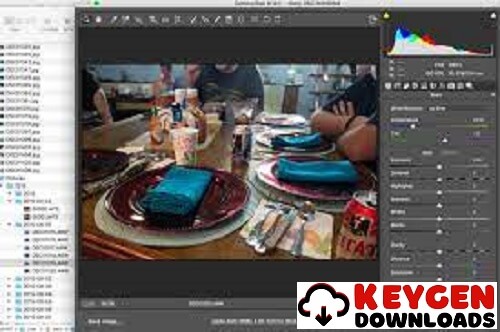 Baixar Adobe Camera Raw 14.5 Crackeado Para PC Gratis 2024