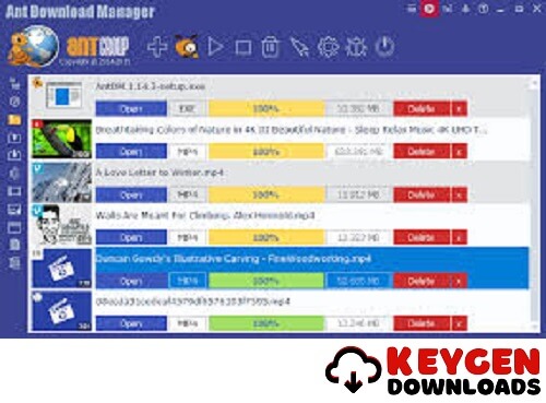 Baixer Ant Download Manager Pro Crackeado Gratis 2024 PT-BR
