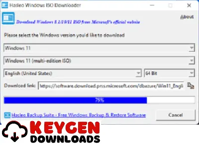 Baixer Windows 11 ISO Gratis Agora Português