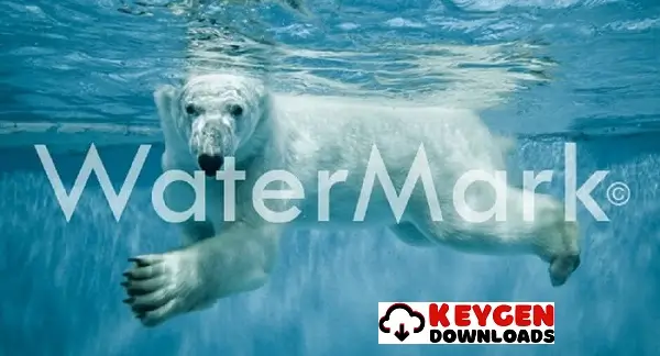 Watermark Remover v1.4.19.1 Crackeado Gratis PT-BR